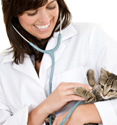 Kitten Exam